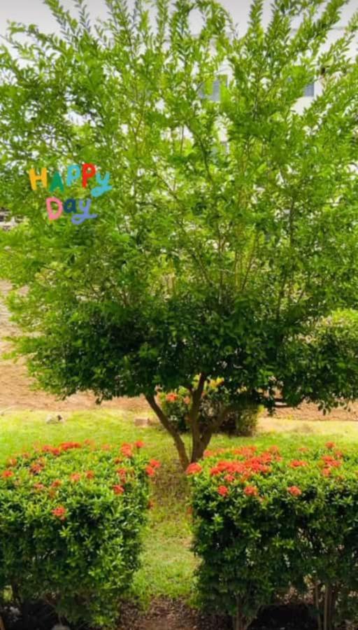 Apartamento, Zona Leste, Otima Localizacao. Teresina Ngoại thất bức ảnh
